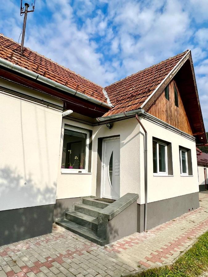 Silver House Rasnov Buitenkant foto