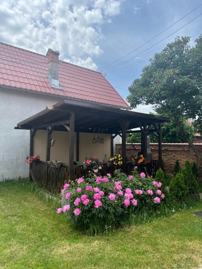 Silver House Rasnov Buitenkant foto